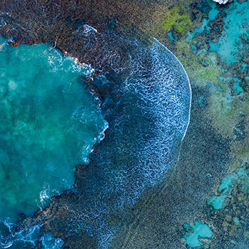 talleres Carolina Rodríguez